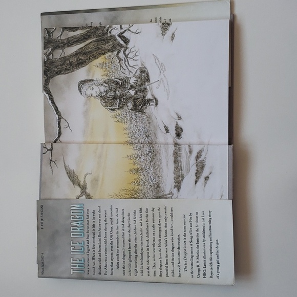 The Ice Dragon by George R. R. Martin (hardcover) - Picture 3 of 5